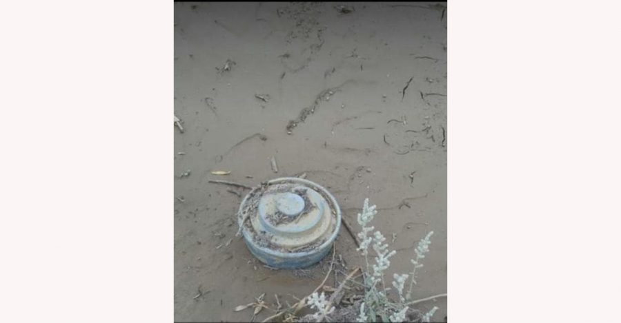 WhatsApp Image 2020-05-03 at 01.08.30