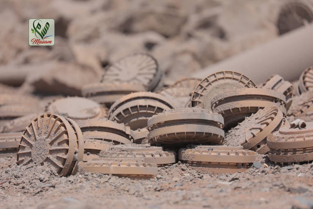 WhatsApp Image 2020-06-14 at 17.31.49