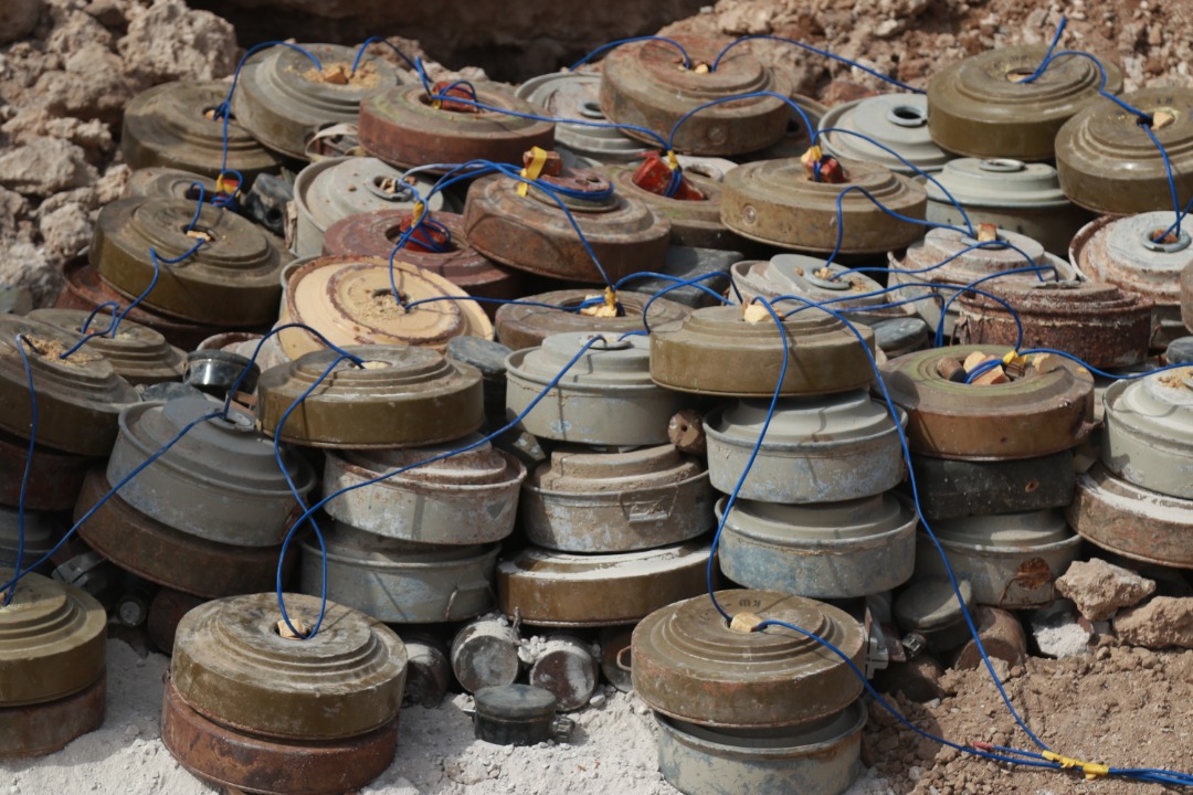 WhatsApp Image 2020-07-23 at 17.30.58