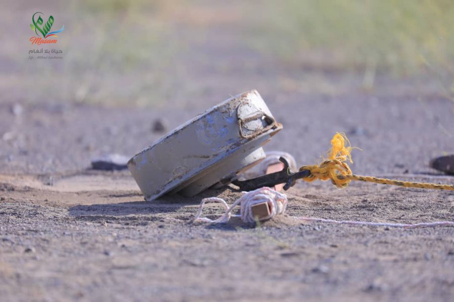 WhatsApp Image 2020-08-06 at 19.32.31