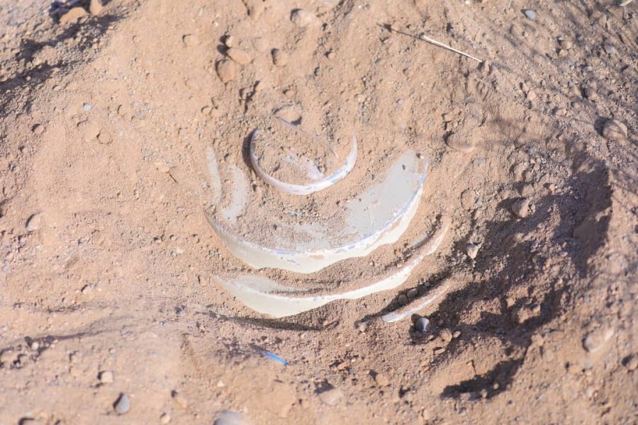 WhatsApp Image 2020-08-08 at 14.53.58