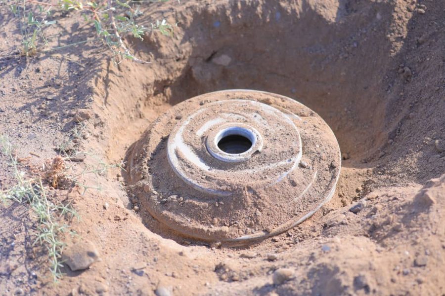 WhatsApp Image 2020-08-08 at 15.16.28