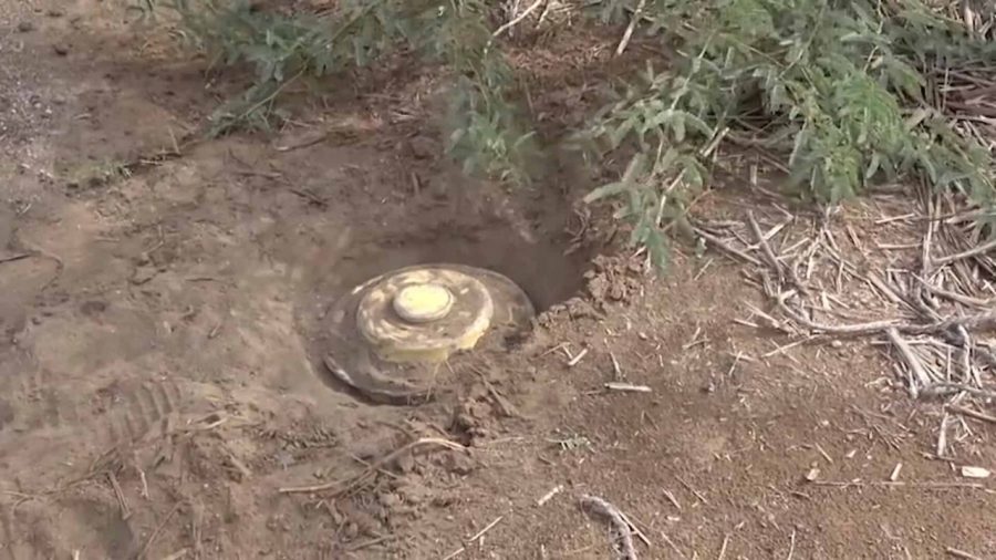 WhatsApp Image 2020-08-09 at 12.53.03