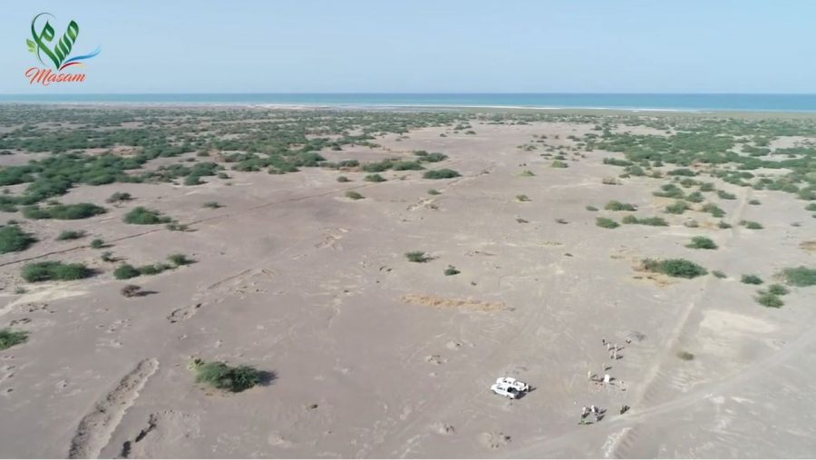 WhatsApp Image 2020-08-15 at 21.55.49