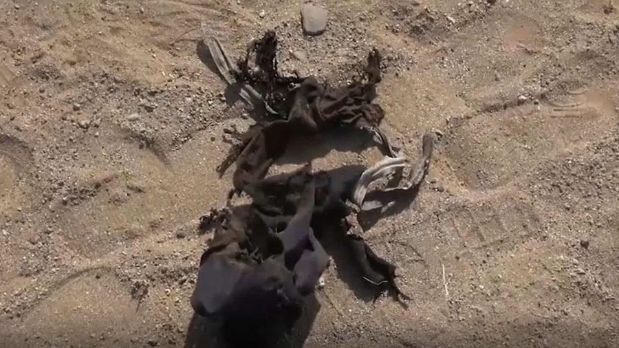 Al Hudaydah mine