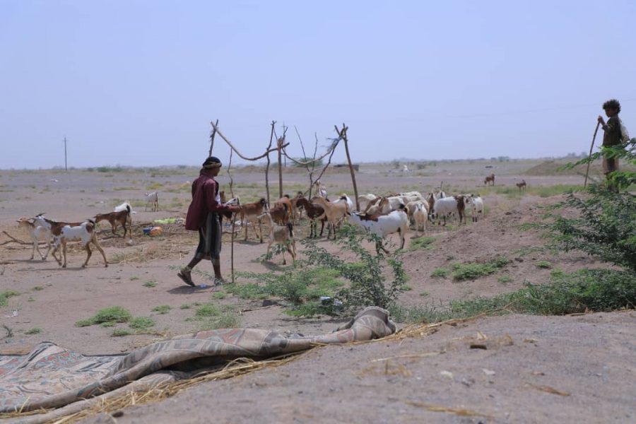 PHOTO-2021-04-20-11-14-15