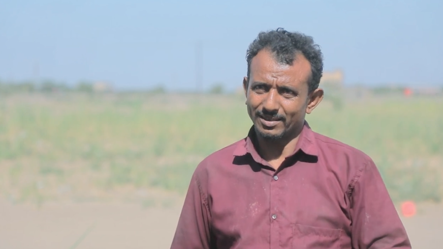 Screen Shot 2022-01-05 at 12.00.45