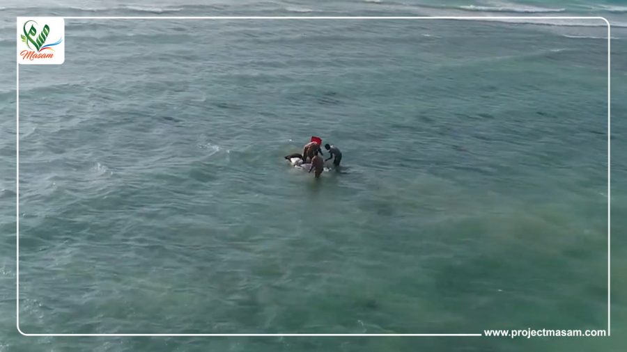 PHOTO-2022-12-18-01-35-46