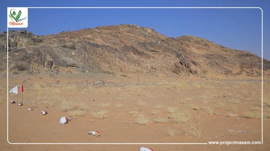 PHOTO-2023-03-08-02-02-59