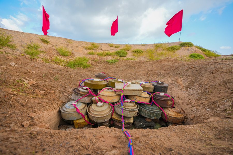 WhatsApp Image 2025-11-19 at 18.56.45