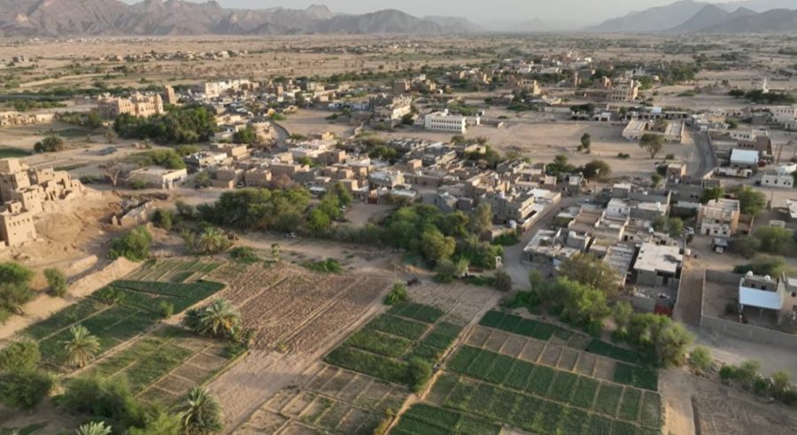 WhatsApp Image 2025-11-25 at 09.11.56 (1)