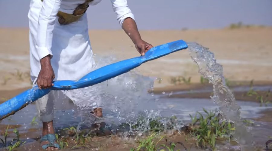 WhatsApp Image 2025-12-16 at 10.12.55