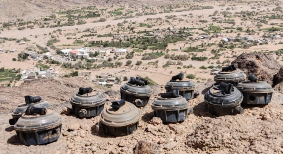 Screen Shot 2022-05-16 at 08.56.48