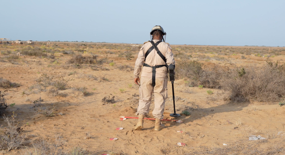 Screen Shot 2025-11-14 at 15.25.28