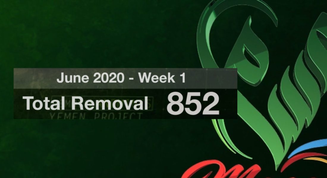 WhatsApp Image 2020-06-07 at 15.31.21