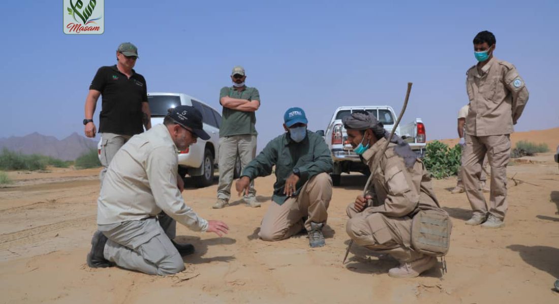 WhatsApp Image 2020-06-10 at 00.35.33