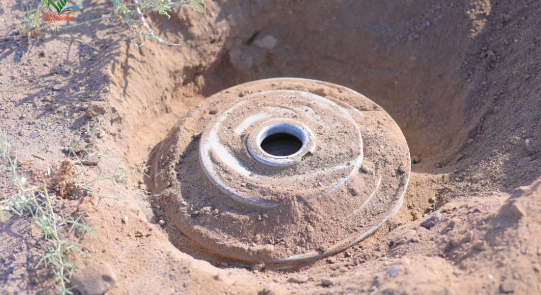 WhatsApp Image 2020-07-15 at 14.20.53