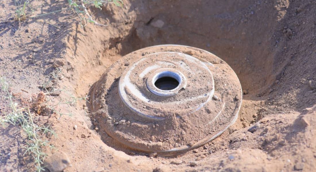 WhatsApp Image 2020-08-08 at 15.16.28