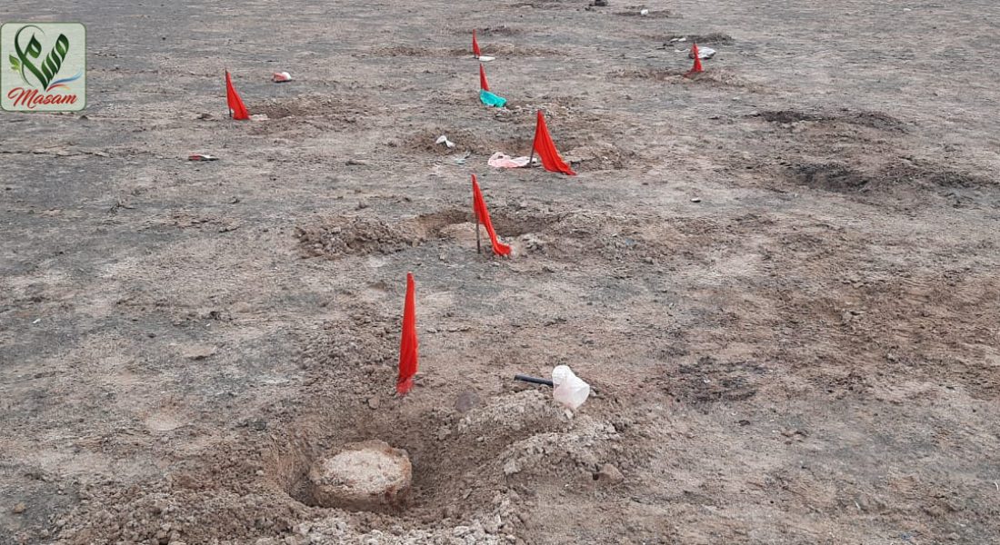 WhatsApp Image 2020-08-12 at 19.52.49