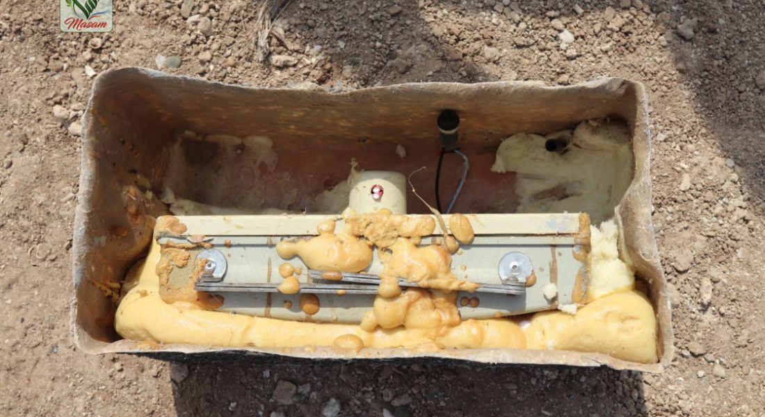 WhatsApp Image 2020-08-13 at 00.12.41