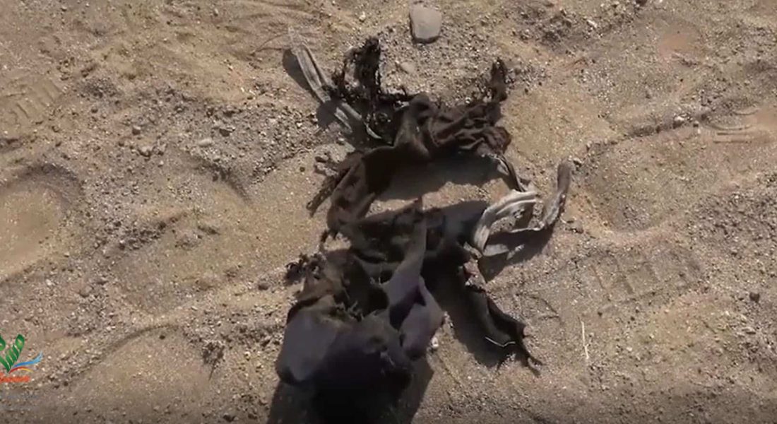 WhatsApp Image 2020-08-15 at 13.51.32