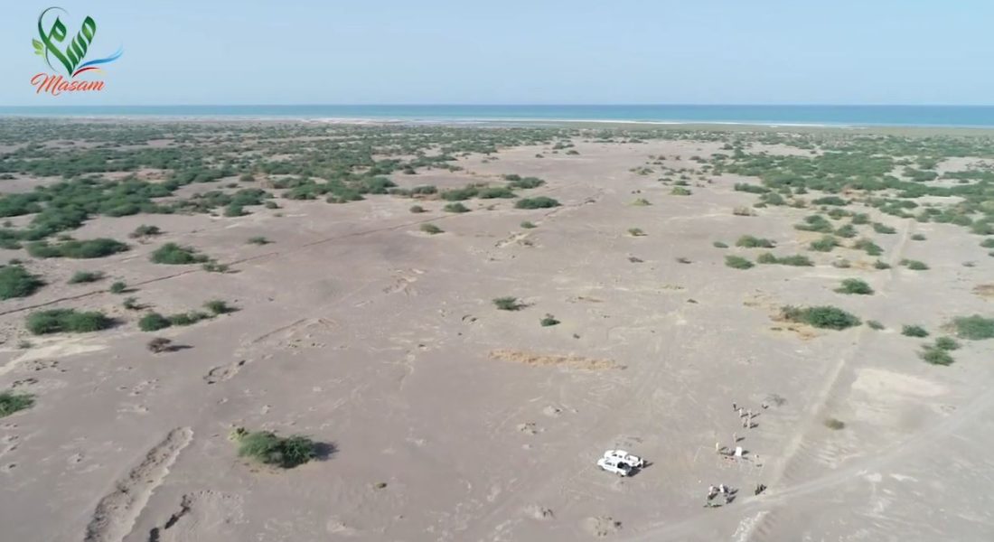 WhatsApp Image 2020-08-15 at 21.55.49