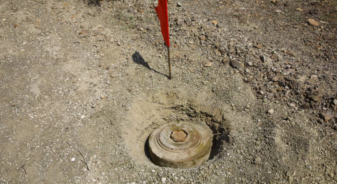 WhatsApp Image 2020-10-05 at 15.00.15