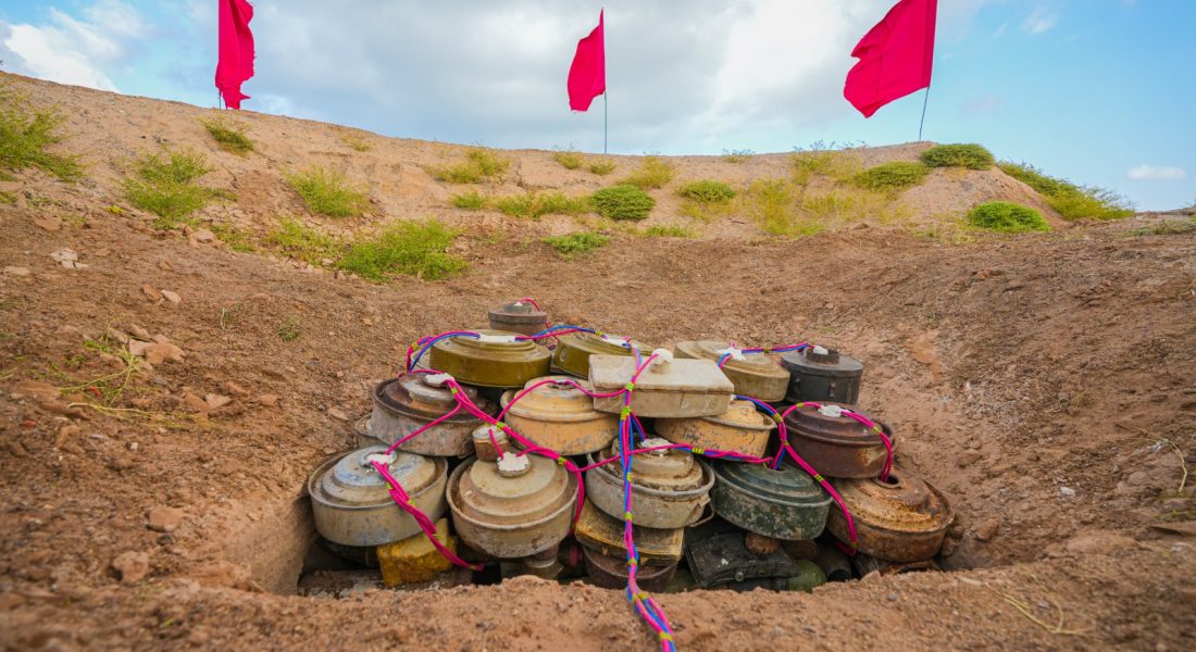 WhatsApp Image 2025-11-19 at 18.56.45