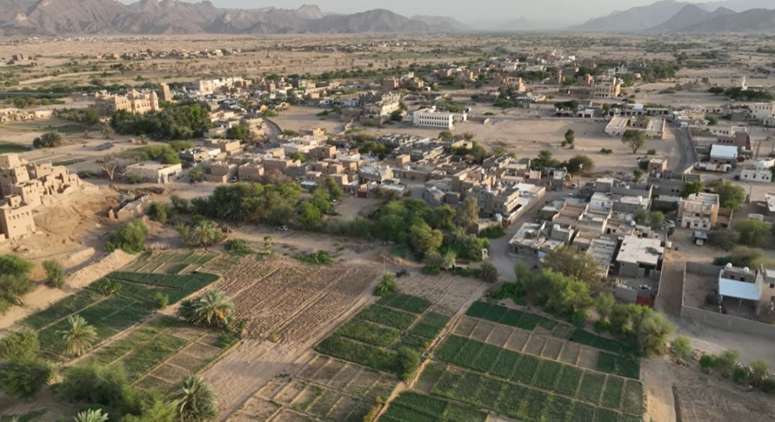 WhatsApp Image 2025-11-25 at 09.11.56 (1)