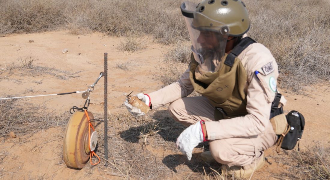 WhatsApp Image 2025-12-11 at 16.38.57 (1)