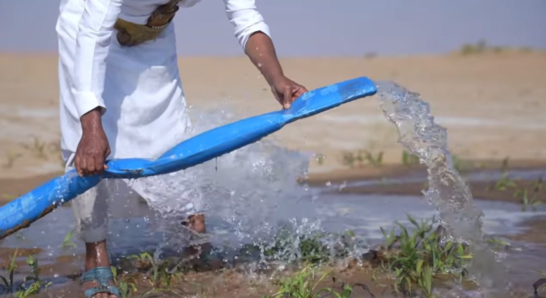 WhatsApp Image 2025-12-16 at 10.12.55